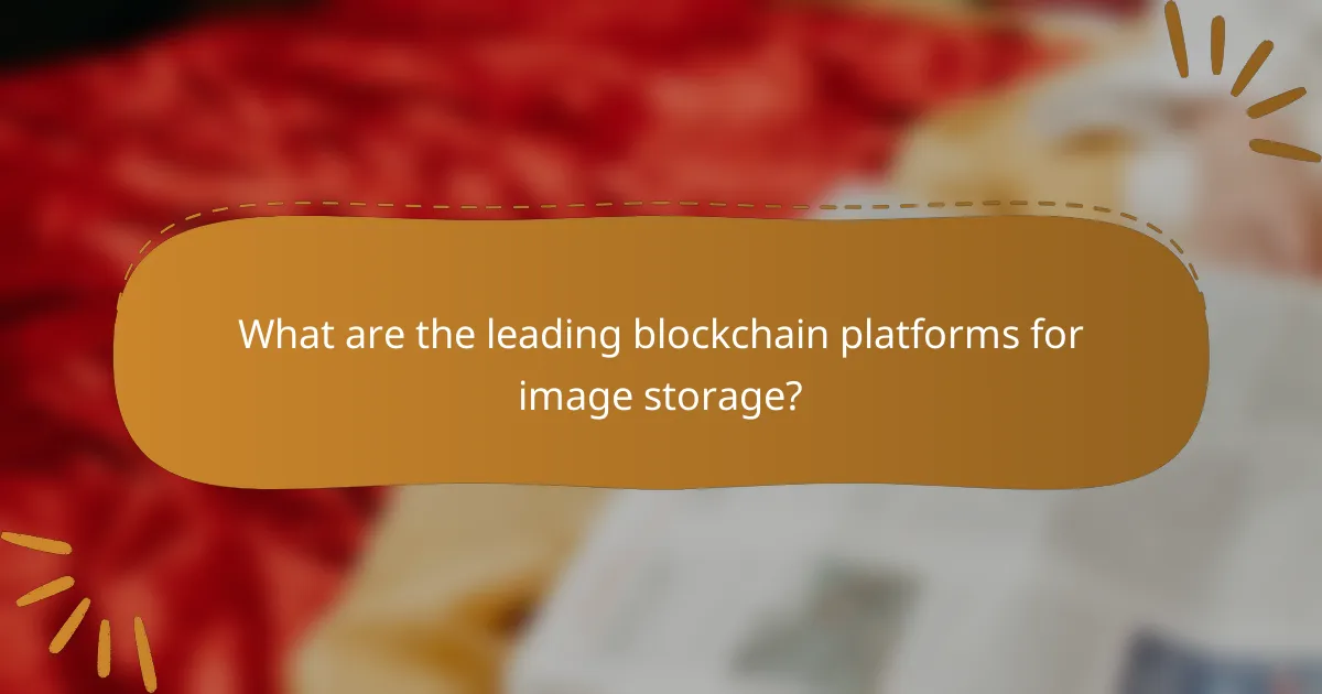 What are the leading blockchain platforms for image storage?