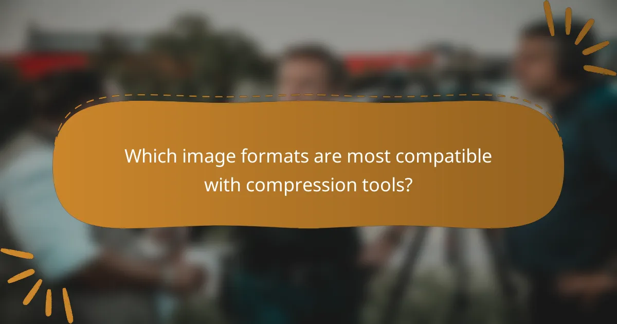 Which image formats are most compatible with compression tools?